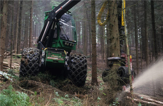 Vollholzernter (Harvester) im maschinengerechten Fichten-Industrieforst. Monokulturen und der Einsatz von schweren Maschinen reduzieren die Biodiversität, schädigen den Boden und gefährden pro Harvester die Arbeitsplätze von bis zu zehn Waldarbeitern.